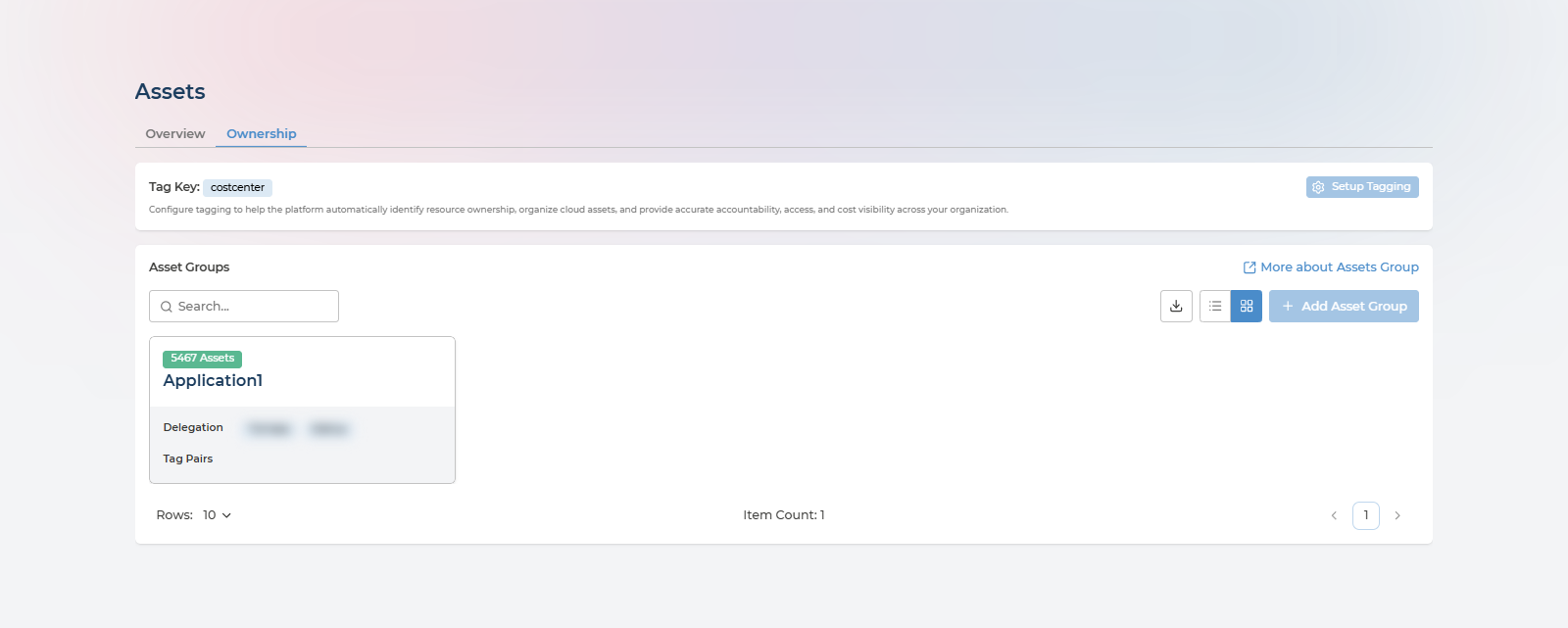 The Ownership tab as a delegated user, showing a single asset group and no configuration buttons